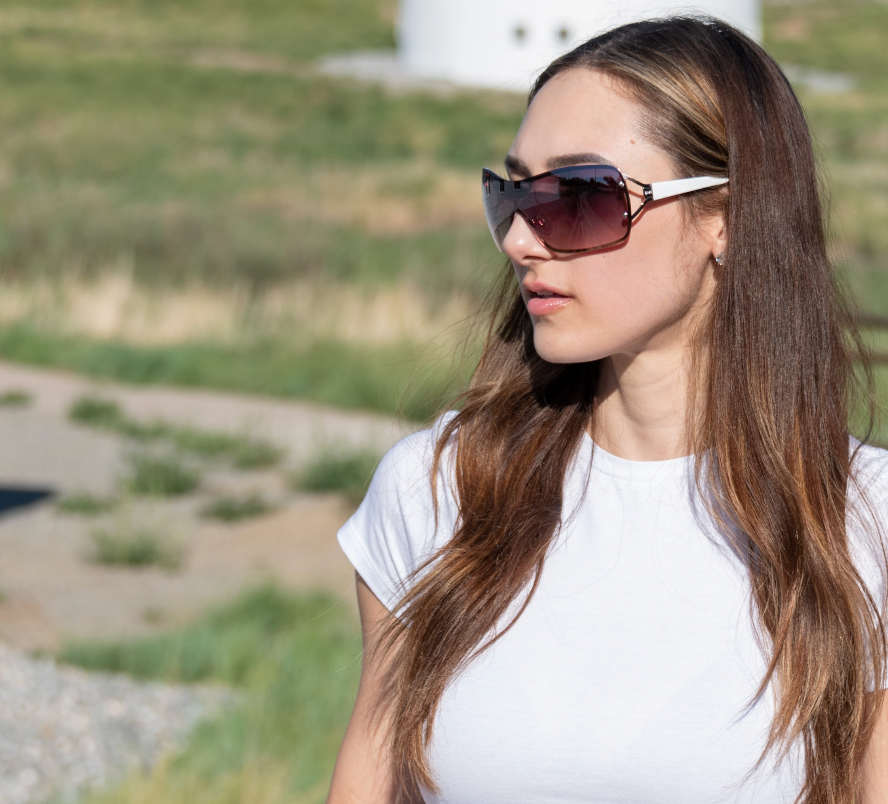 Birkin sunglasses 2024